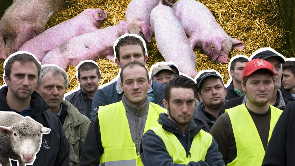 Salon de l’agriculture : un an après la crise, le désarroi et la colère sourde des agriculteurs